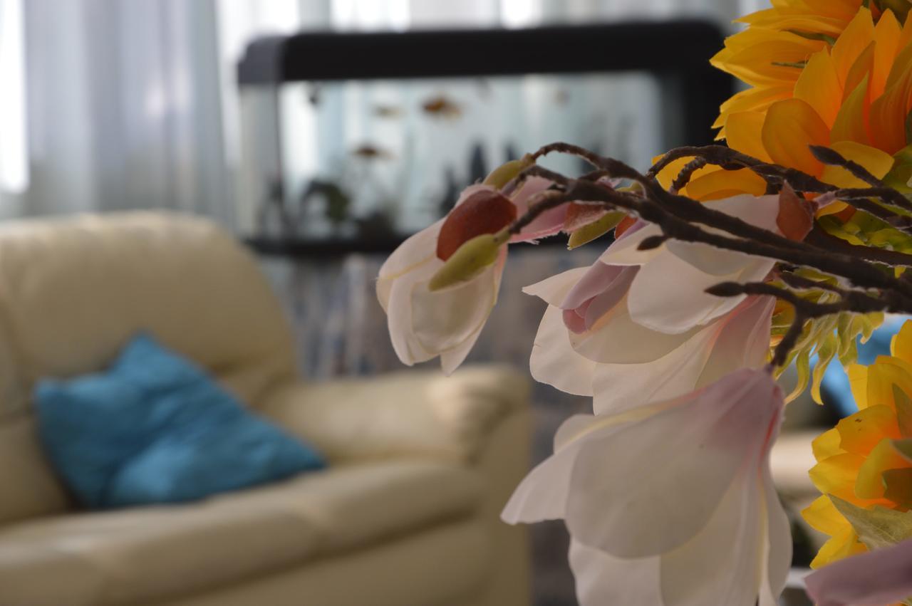 Hotel Fucsia Riccione Luaran gambar