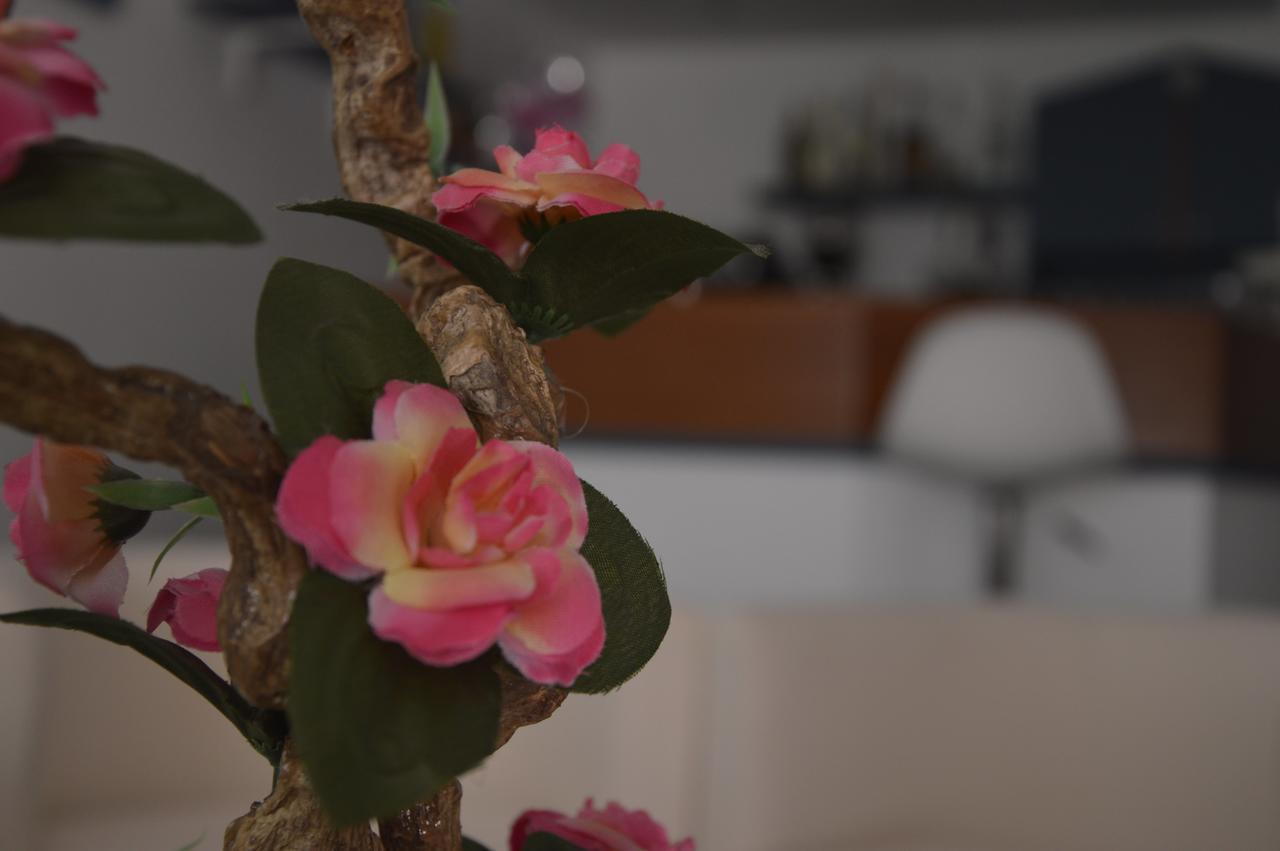 Hotel Fucsia Riccione Luaran gambar